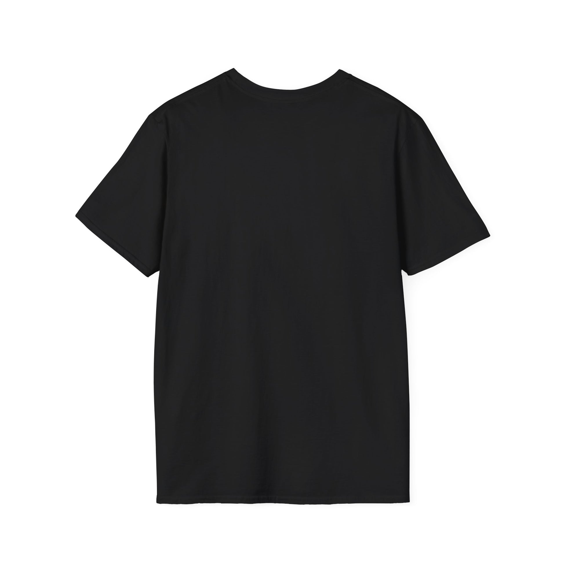 "PERFECT PERFECT" Soft style unisex tee